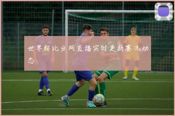 世界杯比分网直播实时更新赛况动态
