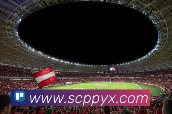 多媒体互动体验