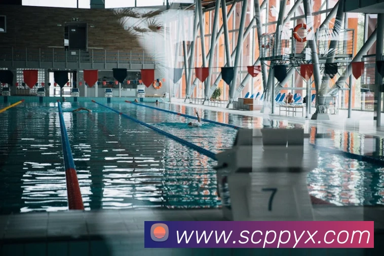 世界杯开户平台APP 高清赛事图